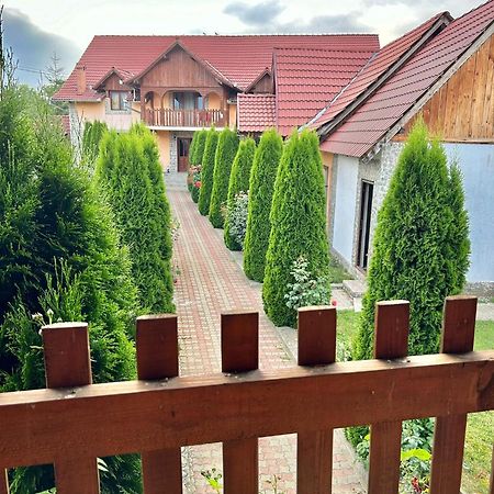 Pensiunea Casa Nina Кирцишоара Екстер'єр фото