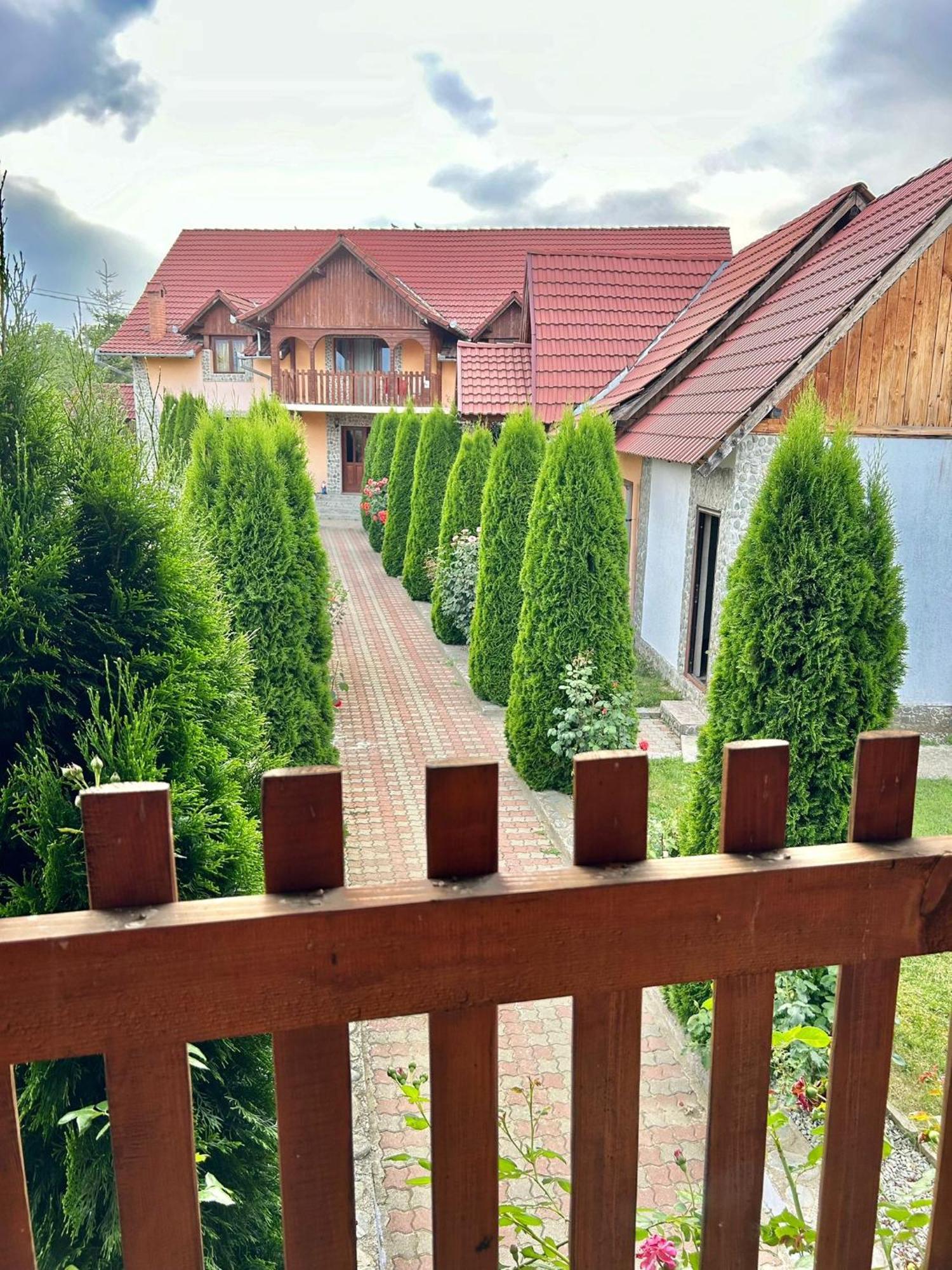 Pensiunea Casa Nina Кирцишоара Екстер'єр фото