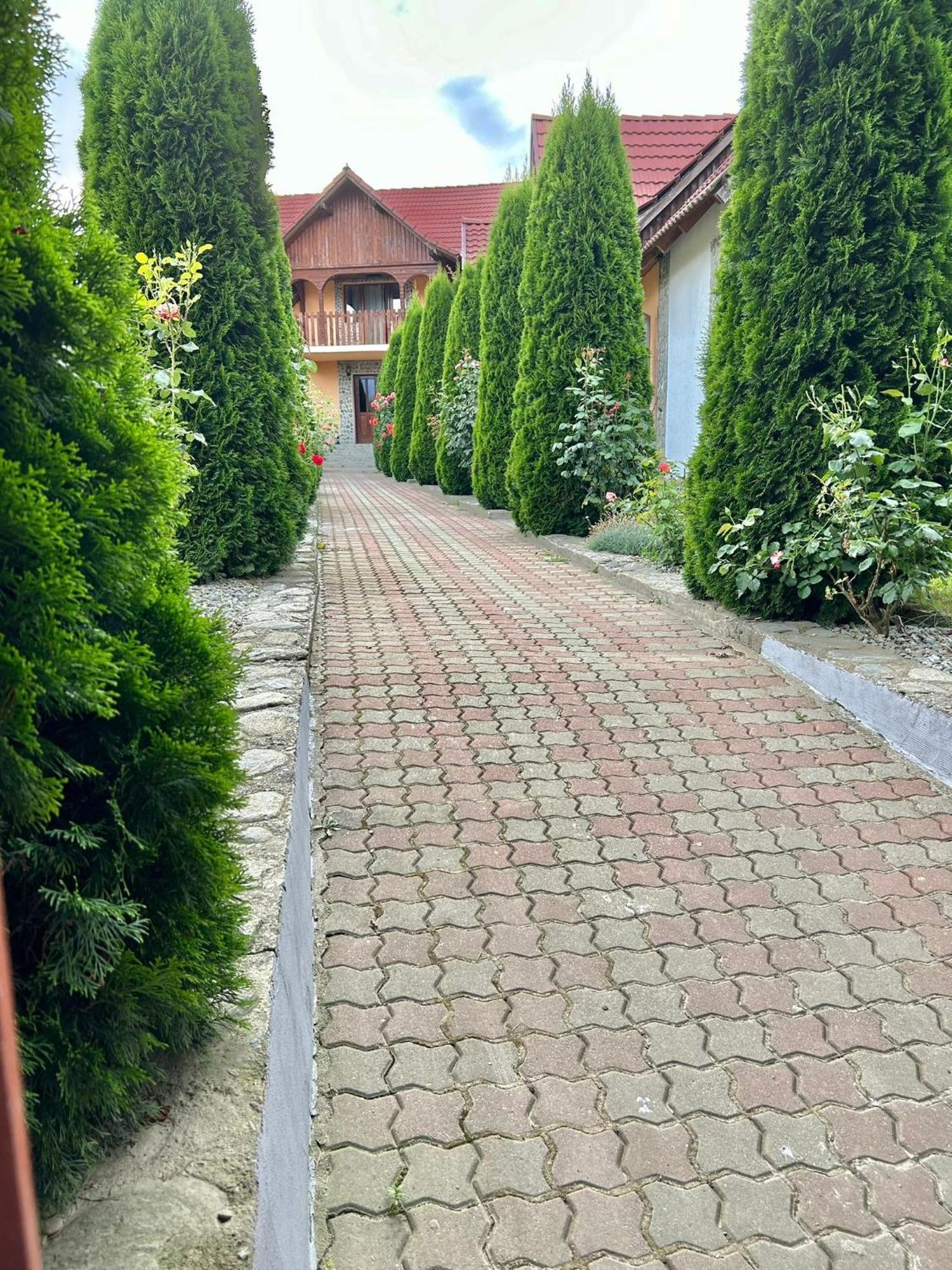 Pensiunea Casa Nina Кирцишоара Екстер'єр фото