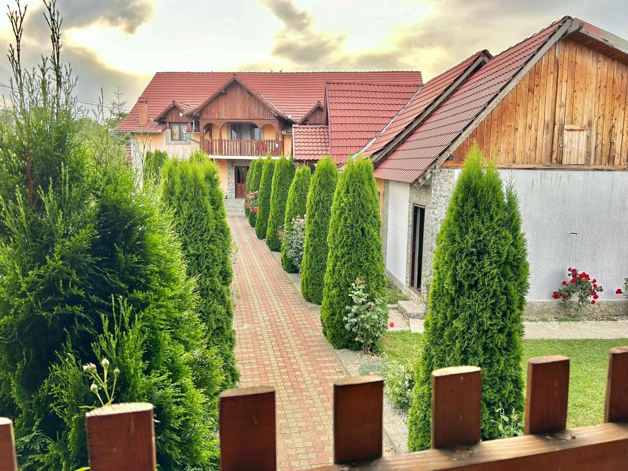 Pensiunea Casa Nina Кирцишоара Екстер'єр фото