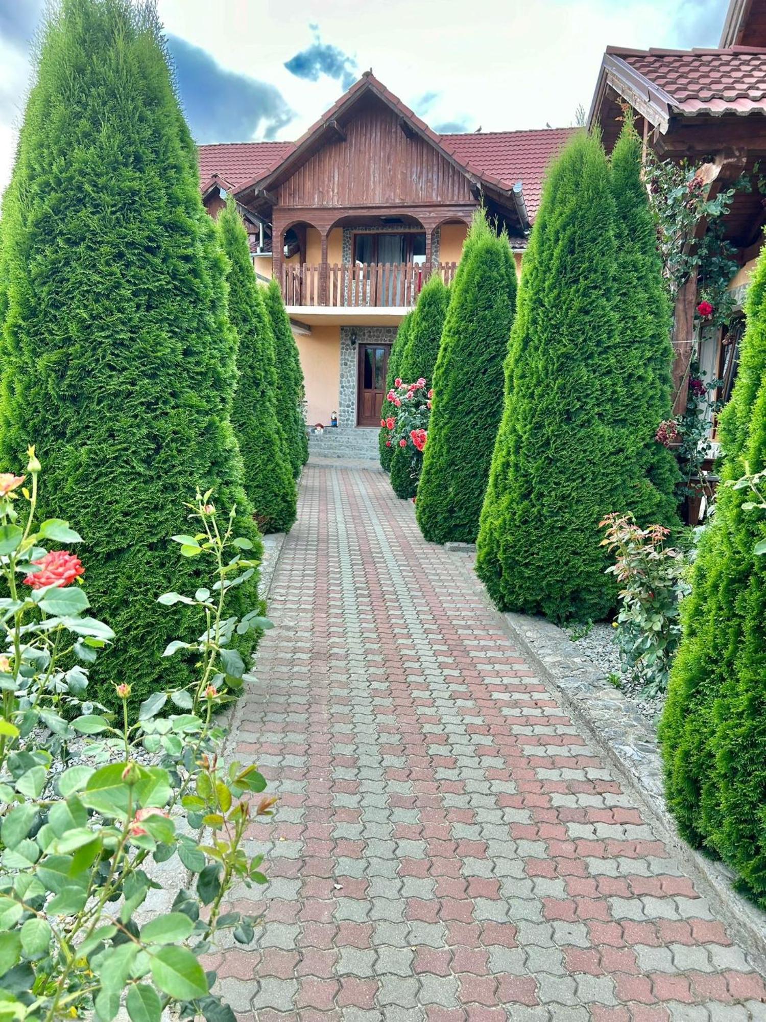 Pensiunea Casa Nina Кирцишоара Екстер'єр фото