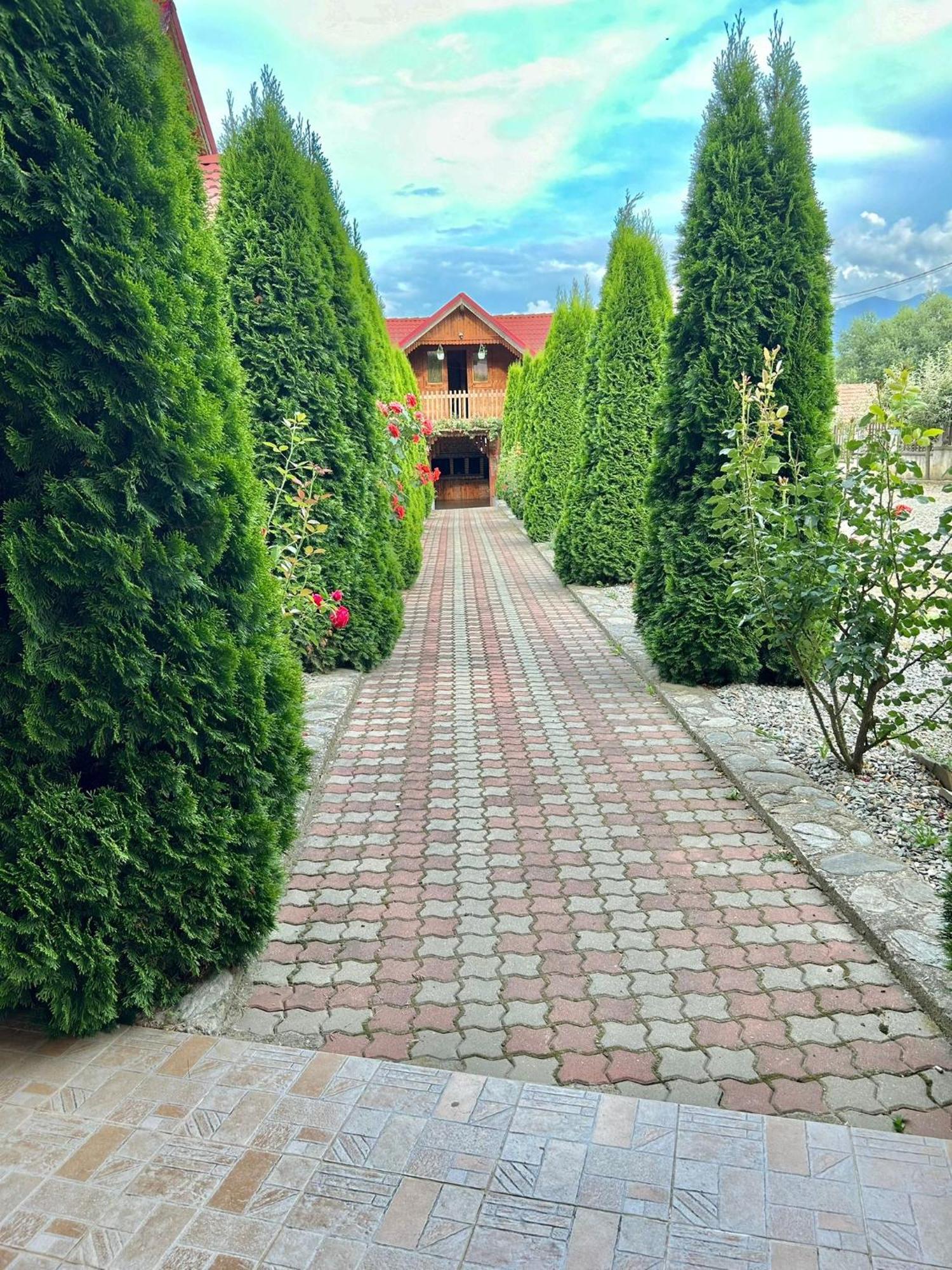 Pensiunea Casa Nina Кирцишоара Екстер'єр фото